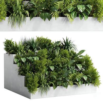 现代植物堆 花圃